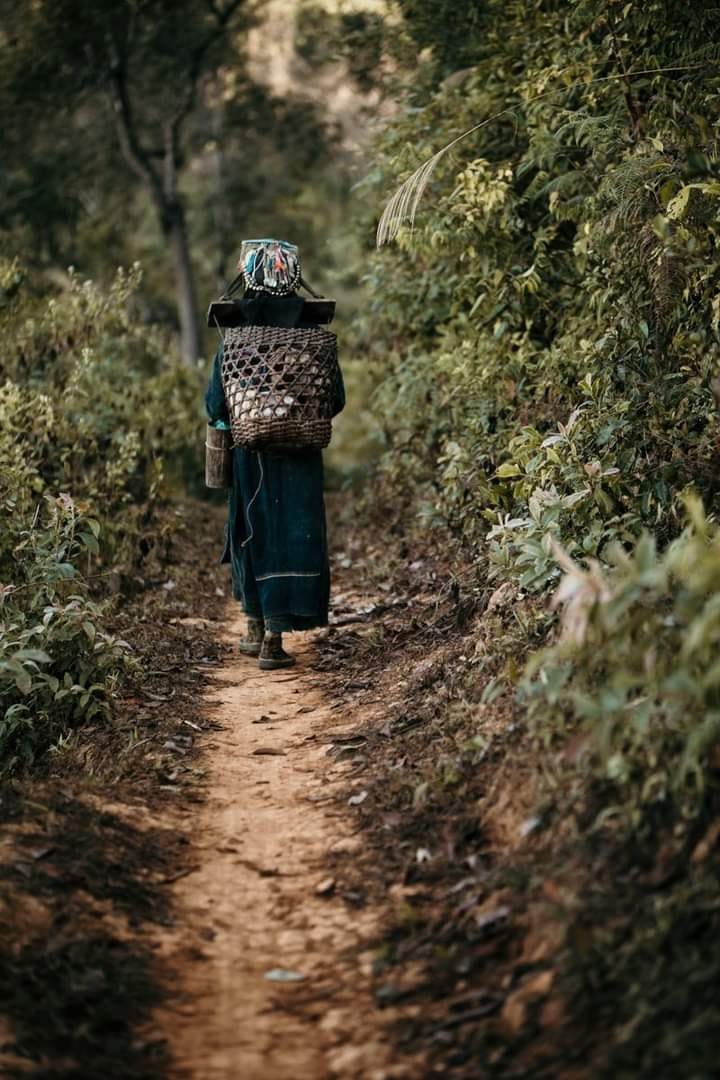 3 Days Nong Khiaw Long Trekking Tour